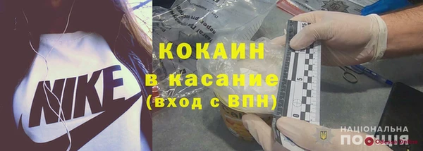 прущие грибы Алексеевка