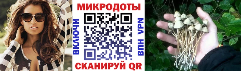 Псилоцибиновые грибы мицелий Новоуральск